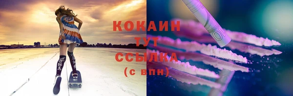 молекула духа Нестеровская