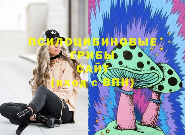 дживик Коряжма