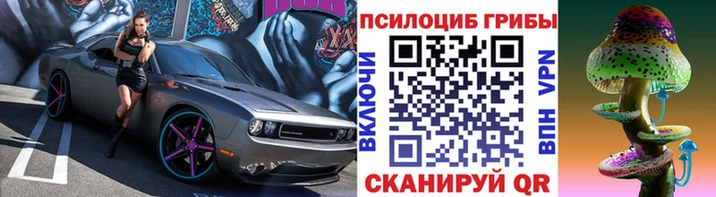 купить наркоту  Чебаркуль  Галлюциногенные грибы мицелий 
