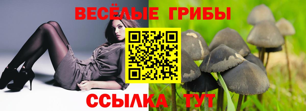 Галлюциногенные грибы мухоморы Чебаркуль