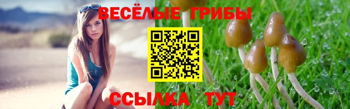 Чебаркуль  сколько стоит  Вход с VPN  Псилоцибиновые грибы Psilocybine cubensis 